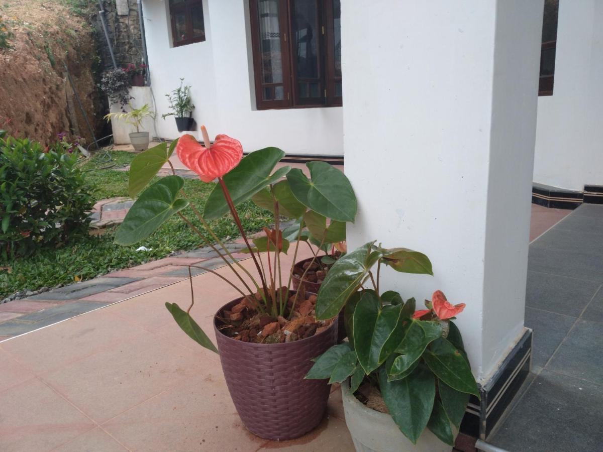 Holly House Homestay Ella Exterior foto